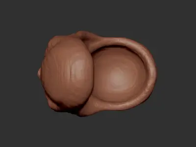 Face bowl 3D print model