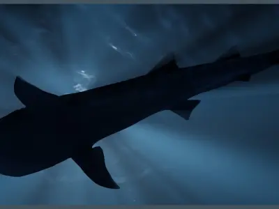Deep Ocean Environment Low-poly 3D model