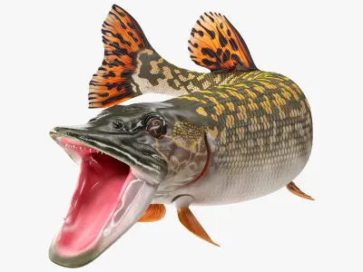 Rigged Fishes Collection 5 3D model