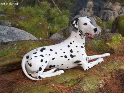 Lying Dalmatian Dog 3D model