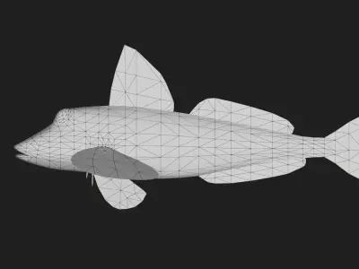 Bass fish Low-poly 3D model 9