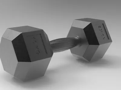 Hexagonal 10kg dumbbell with ergonomic knurled grip  3D model
