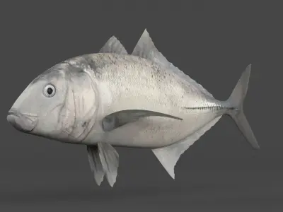 Trevally Fish 3D model purchase