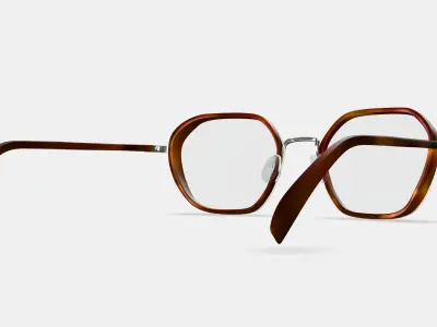 Levins Eyeglasses in Rye Tortoise Matte with Antique Silver 3D model