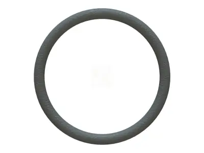 O Ring Vedabras 12621 3D model