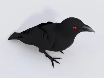 Raven crow cartoon 3d model  Low-poly 3D model