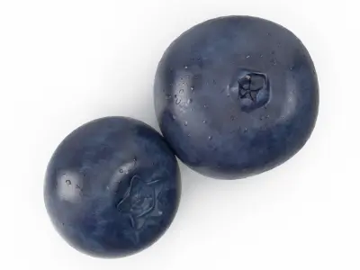  Blueberrys 