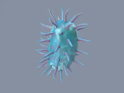 Bacterium 3D model