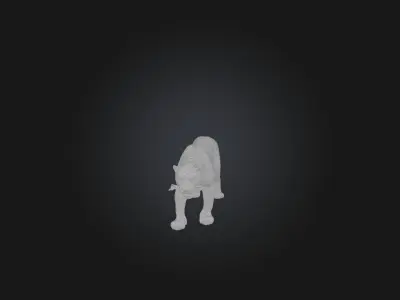 Realistic Hurt Tiger Model Low-poly 3D model
