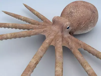 Octopus with spikes Low-poly 3D model