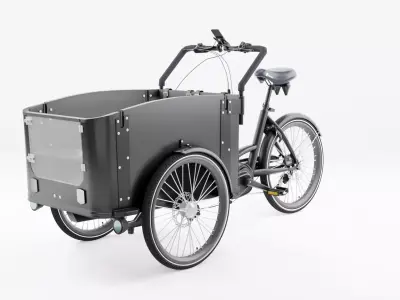 3D Model of Cargobike DeLight Dog Low-poly 3D model