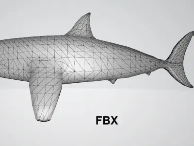 Shark low poly 3D model