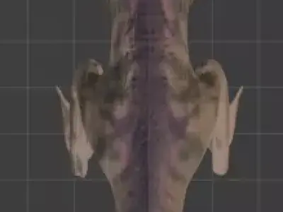 Stylized dino Low-poly 3D model