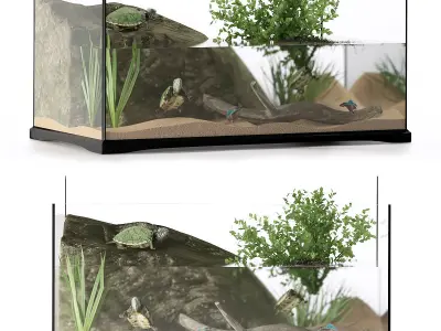 A set of terrariums  bonus Blue Island Viper Low-poly 3D model