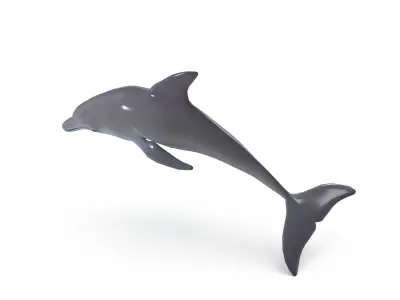 Dolphin jump animation 3D model