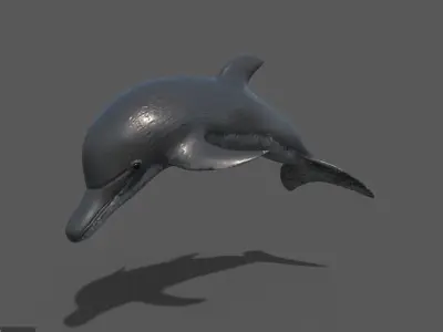 Dolphin 3D model get