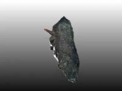 Sea Creature 3D model