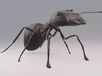 Ant Rigged Free low-poly 3D model