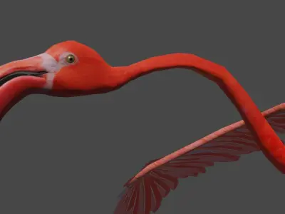 Flamingo flying Low-poly 3D model