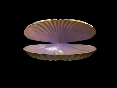 Oyster 3D Model shell 3D model