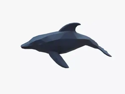 Dolphin low poly Low-poly 3D model purchase