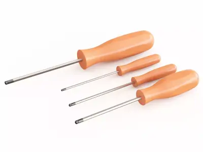 Screw driver 09 3D model