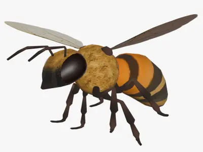 Animated Bee Low-poly 3D model purchase