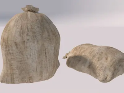 closed bags sacks 3D model