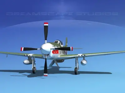 P-51D Mustang Texas Terror IV 3D model