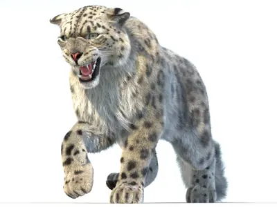 Animated Snow Leopard Fur 3D model