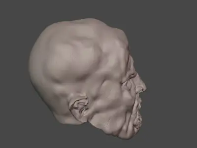 Jason Voorhees part 4 head sculpt for custom figure  3D print model