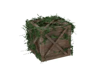 Moss Crate  3D model