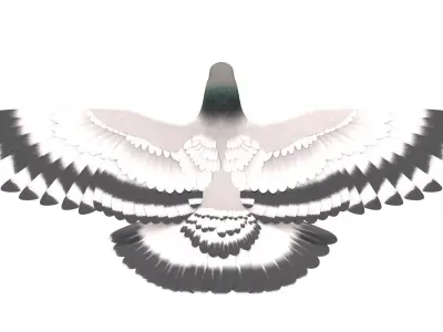 Pigeon 3D Model with wings spread 3D model
