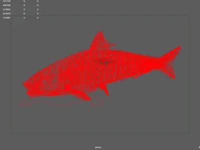 carp fish 3D model
