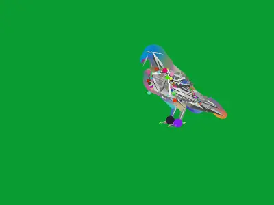 Peregrine Falcon Low-poly 3D model