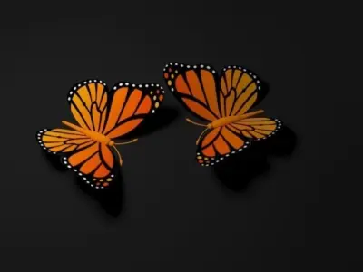 Butterfly 3D model 5