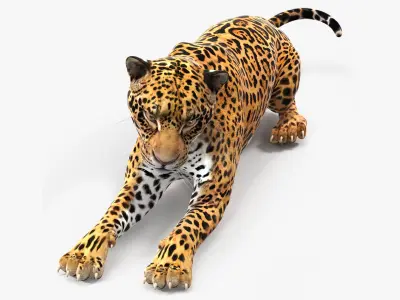 Jaguar Lying Down 3D model