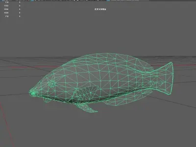 Wrasse Low-poly 3D model 2