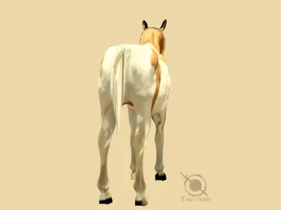 Horse 3D model 2