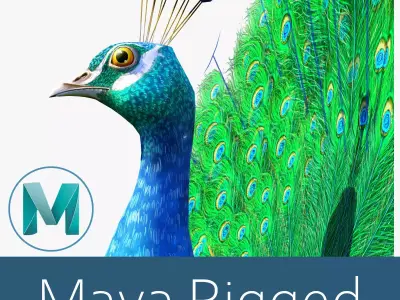 Peacock bird Low-poly 3D model