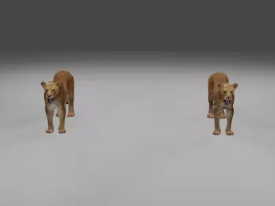 Lioness two lions Low-poly 3D model