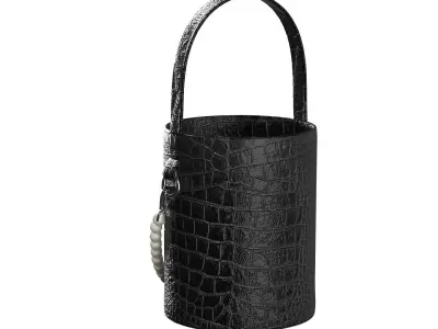 Pearl Handle Bucket Bag 3D model