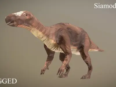 Thai Dinosaur Siamodon Low-poly 3D model