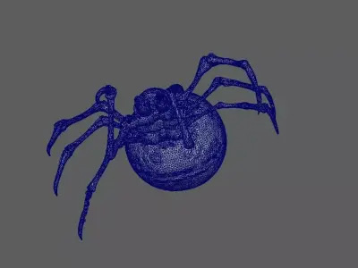 Spider 3D model 27
