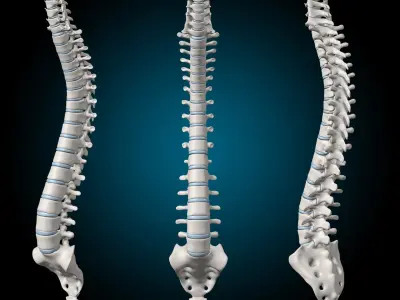  Spine Ultimate 