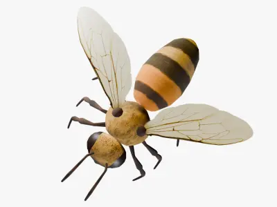 Animated Bee Low-poly 3D model purchase