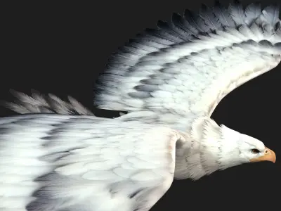 Eagle-B3 3D model