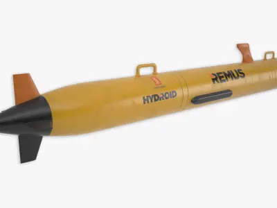 Remus 100 3D model