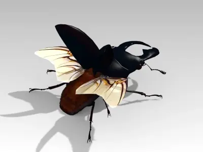 Giant Stag Beetle Low-poly 3D model