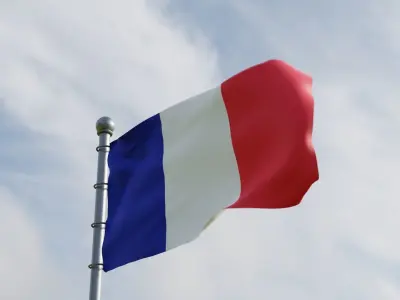 Animated France Flags  3D model